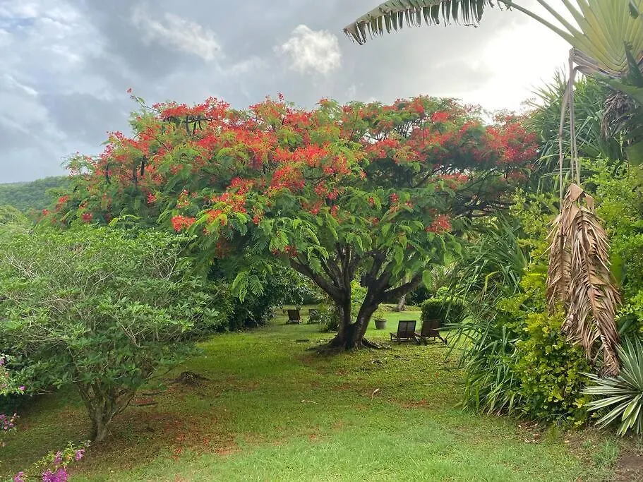 Villa Gaia - Petit Coin De Paradis Creole Avec Piscine Et Jacuzzi 勒迪亚芒