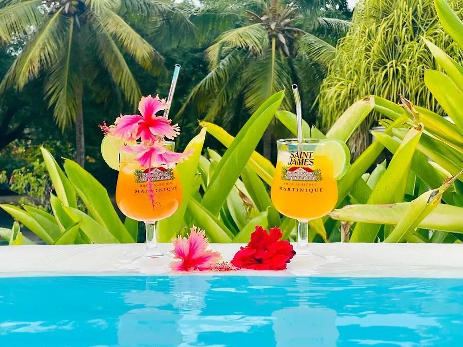 Villa Gaia - Petit Coin De Paradis Creole Avec Piscine Et Jacuzzi 勒迪亚芒 马提尼克